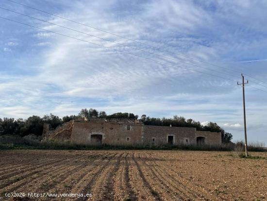 Terreno edificable cerca de Manacor - BALEARES