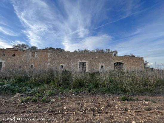 Terreno edificable cerca de Manacor - BALEARES