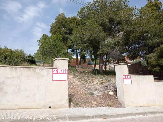 Terreno en Segur d´Alt - TARRAGONA