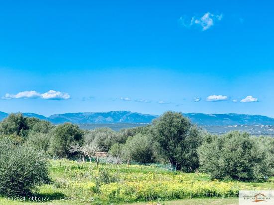 Finca Rústica Son Binissalom -  San Jordi - BALEARES