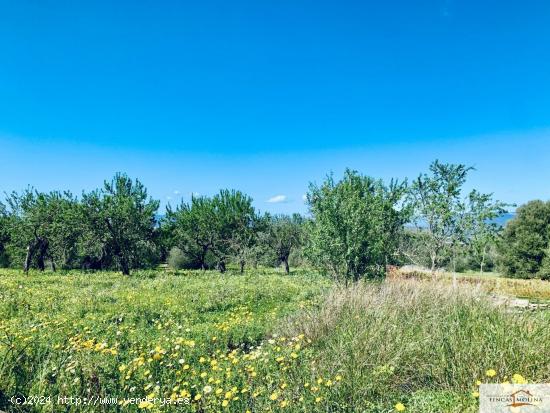 Finca Rústica Son Binissalom -  San Jordi - BALEARES