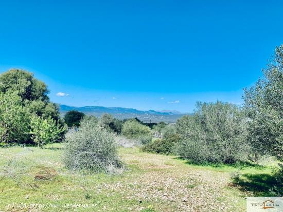 Finca Rústica Son Binissalom -  San Jordi - BALEARES