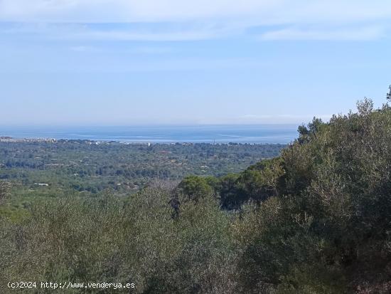  Finca rústica con permiso de obra, vistas al mar y a la montaña - TARRAGONA 