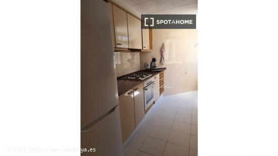 Se alquila habitación en piso de 3 dormitorios en valencia. - VALENCIA