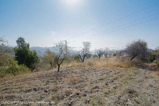 Finca rustica en Sorvilan - GRANADA