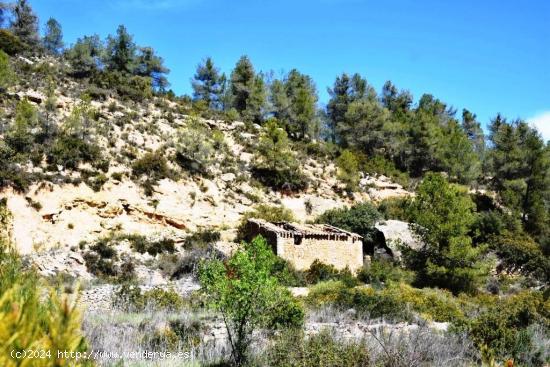 Se Vende en Arens de Lledo - TERUEL