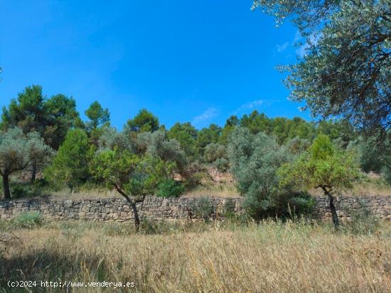 Se Vende en Arens de Lledo - TERUEL