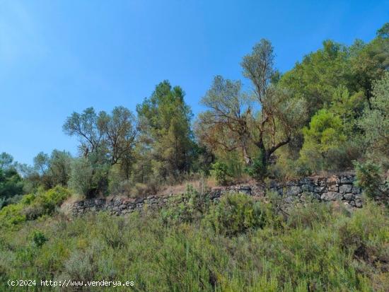 Se Vende en Arens de Lledo - TERUEL