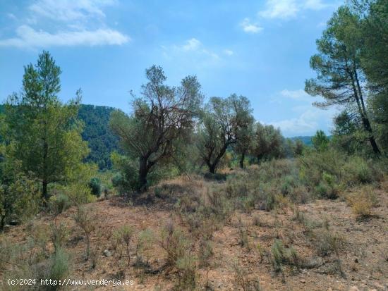 Se Vende en Arens de Lledo - TERUEL