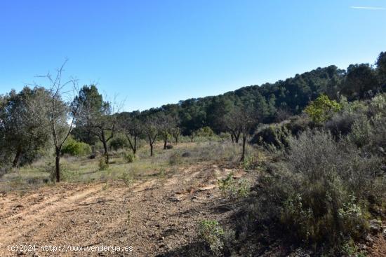 Se Vende en Arens de Lledo - TERUEL