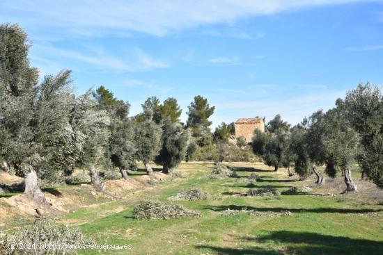  Se Vende en Mazaleon - TERUEL 