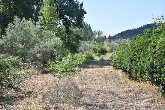 Se Vende en Mazaleon - TERUEL