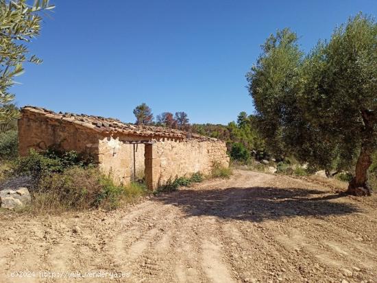 Finca cerca de la ermita de San Pol de Arens - TERUEL