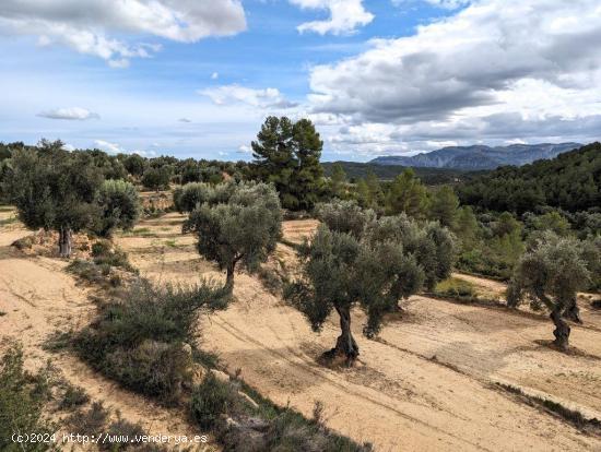  Se Vende en Arens de Lledo - TERUEL 