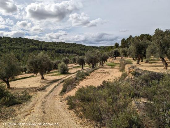 Se Vende en Arens de Lledo - TERUEL