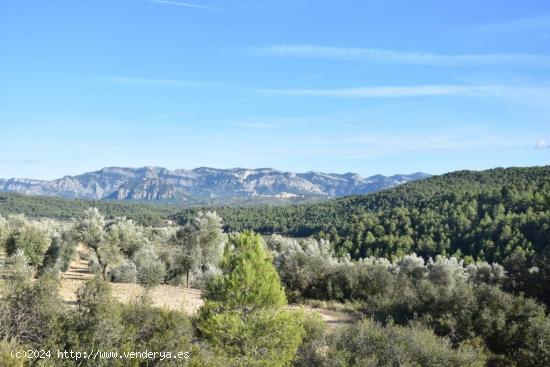 Se Vende en Arens de Lledo - TERUEL