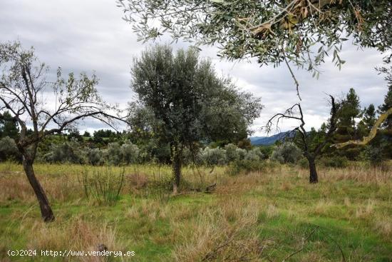 Se Vende en Valderrobres - TERUEL