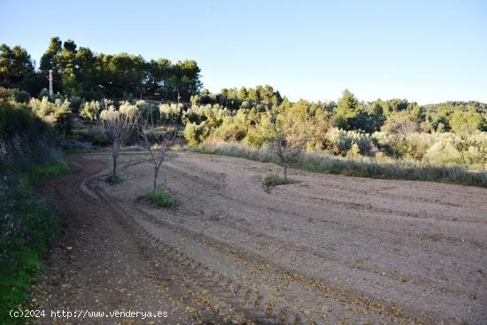 Se Vende en Horta de Sant Joan - TARRAGONA