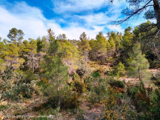 Se Vende en Valderrobres - TERUEL