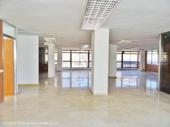 GRAN LOCAL PLANTA 1ª (OPCION AMPLIABLE 610M2) - BALEARES