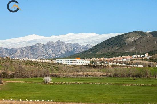 FINCA RÚSTICA EN  DILAR. - GRANADA