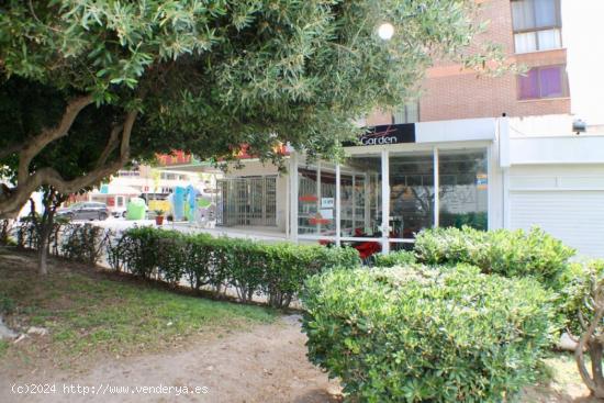 Local comercial en zona de mucho paso en Benidorm - ALICANTE