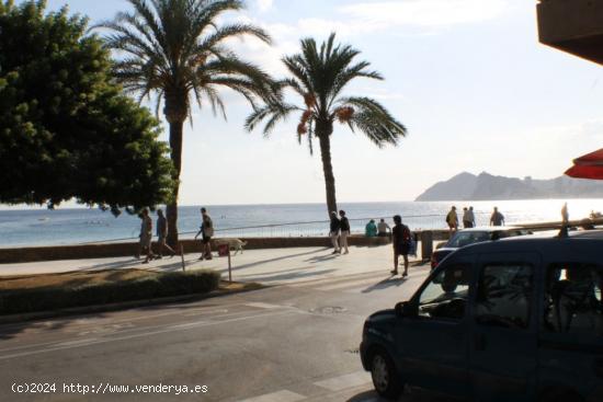  OPORTUNIDAD! LOCAL COMERCIAL AL LADO DEL PARQUE DE ELCHE DE BENIDOR - ALICANTE 