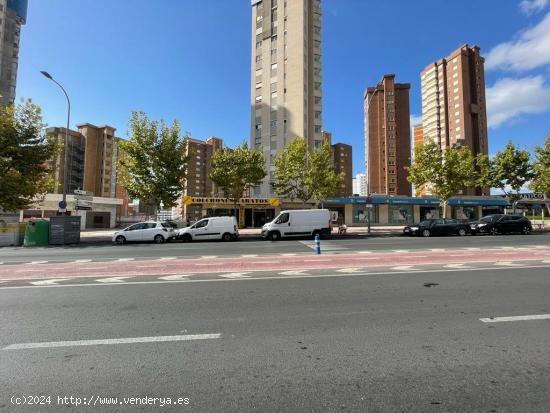 Local en rentabilidad en Avenida Principal de Benidorm - ALICANTE