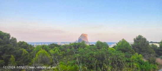  TERRENO URBANO CON VISTAS AL MAR - ALICANTE 