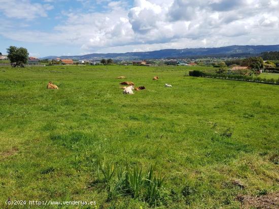 SE VENDE FINCA RÚSTICA EN MEIRÁS, VALDOVIÑO - A CORUÑA