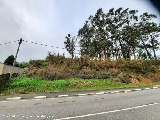  TERRENO URBANIZADO EN SEDES, NARÓN - A CORUÑA 