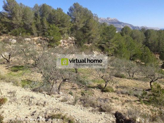 Terreno en venta, Polop. - ALICANTE