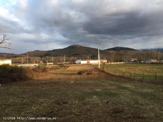 SE VENDE FINCA RUSTICA URBANIZABLE EN BARCENA DEL BIERZO - LEON