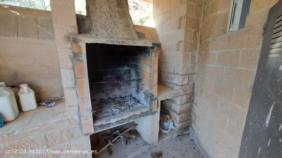 Finca con olivos y almendros - TARRAGONA