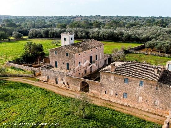  Gran Finca Rústica de 97 hectáreas en Algaida - BALEARES 