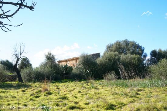 Gran Finca Rústica de 44.771 m2 en Binissalem - BALEARES