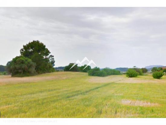  Terreno edificable de 18.828 m2 en Sant Joan - BALEARES 