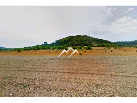 Terreno edificable de 14.862 m2 en Sineu - BALEARES