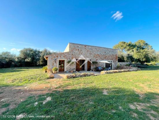 Finca Rústica de 2,5 ha con proyecto de vivienda y licencia en Sencelles - BALEARES