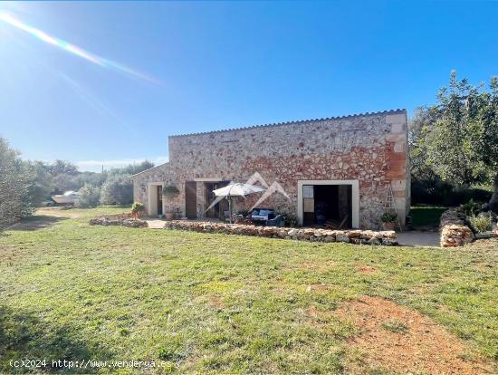 Finca Rústica de 2,5 ha con proyecto de vivienda y licencia en Sencelles - BALEARES