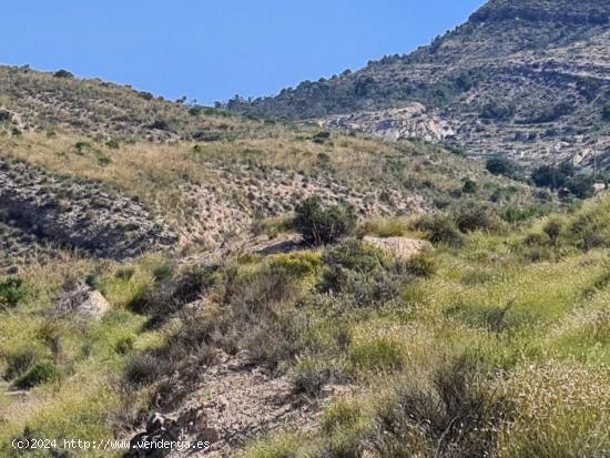 Parcela en el Pantano de Crevillent - ALICANTE