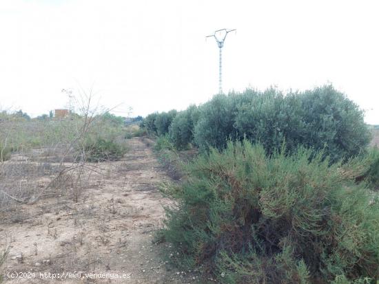 Se vende terreno de 12.800m2 - ALICANTE