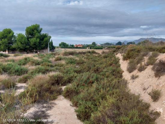 Se vende terreno de 12.800m2 - ALICANTE