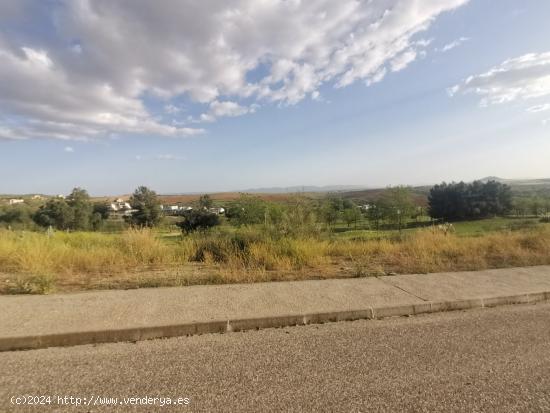 GRAN PARCELA EN EL CAMPO DE GOLF - TOLEDO