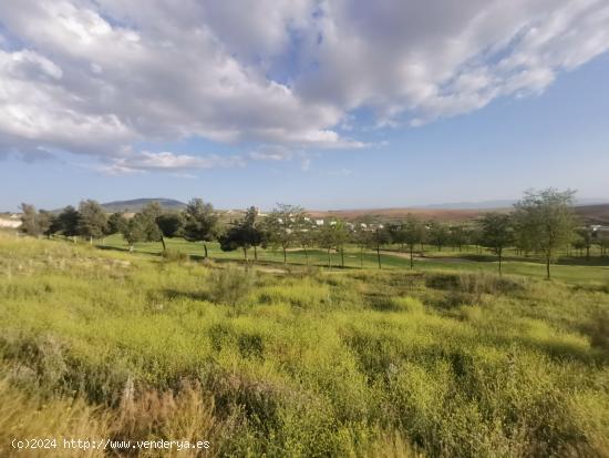 GRAN PARCELA EN EL CAMPO DE GOLF - TOLEDO