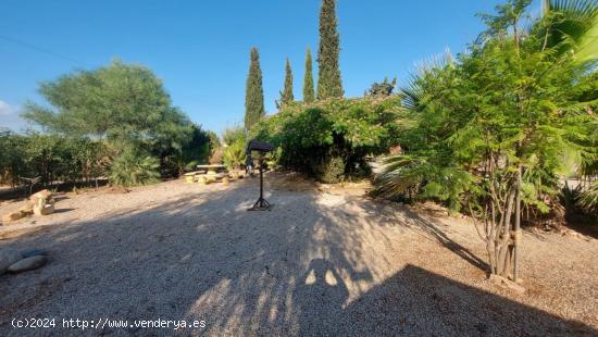 A LA VENTA CASITA DE CAMPO USADA COMO B[amp ]B - MURCIA