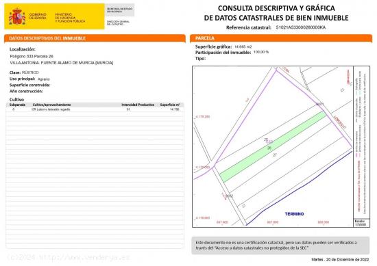 TERRENO DE REGADIO A LA VENTA - MURCIA