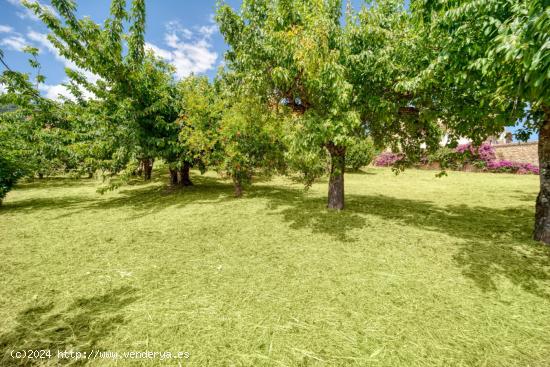 Se Vende en Candeleda - AVILA