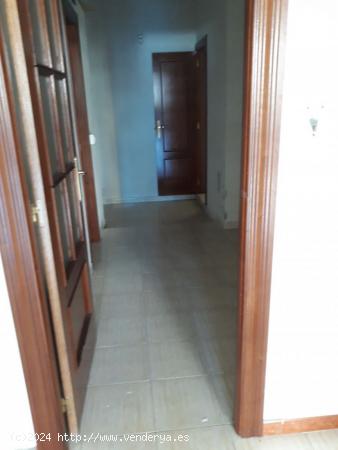 Se Vende en Palencia - PALENCIA