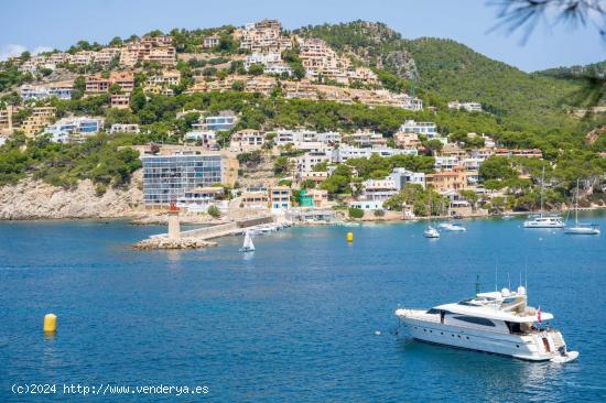  Restaurante en traspaso en el Puerto de Andratx - BALEARES 